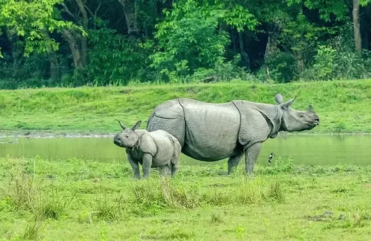 north-east-india-widlife-tour3
