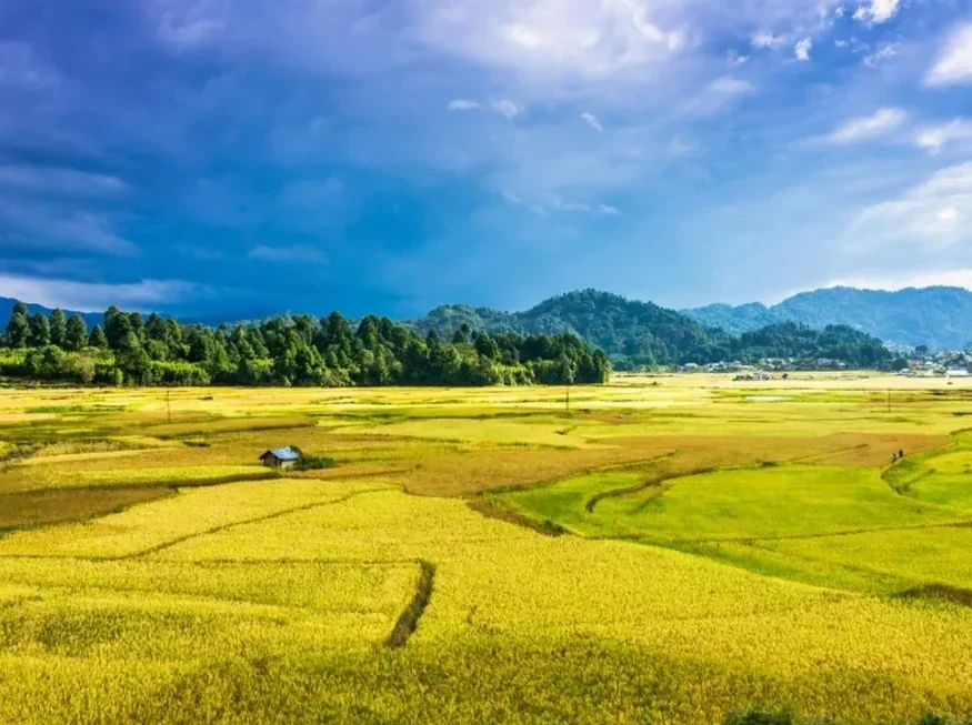 ziro-Valley